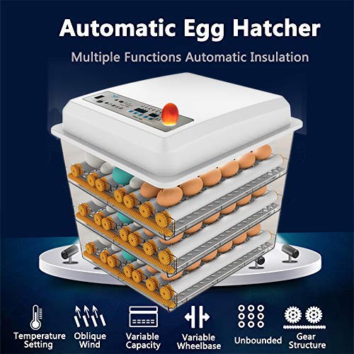 Egg Incubator - Egg Incubator - Image 4