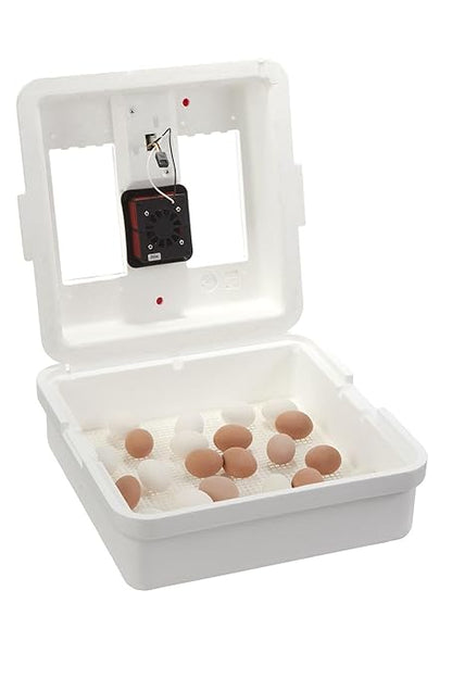 Little Giant® Digital Still Air Incubator | 41 Egg Capacity | Chick Egg - Image 6