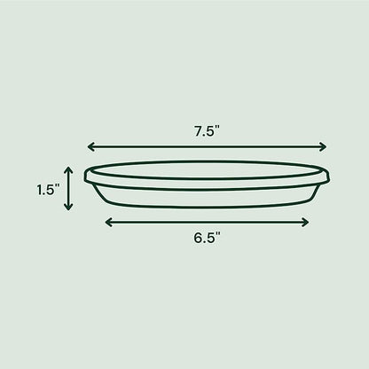 Bloem Terra Resin Saucer Tray: 6.5" Bottom Width - Image 3