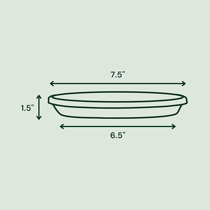 Bloem Terra Resin Saucer Tray: 6.5" Bottom Width - Image 2