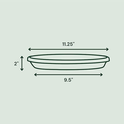 Bloem Terra Resin Saucer Tray: 9.25" Bottom Width - Image 2