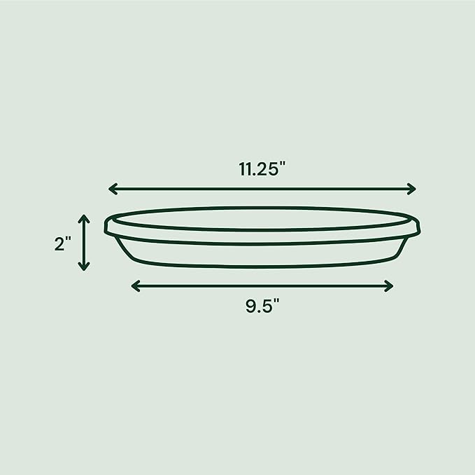 Bloem Terra Resin Saucer Tray: 9.25" Bottom Width - Image 3