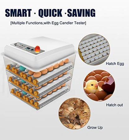 Egg Incubator - Egg Incubator - Image 3