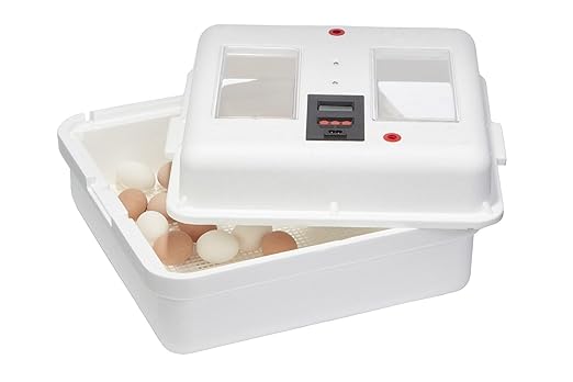 Little Giant® Digital Still Air Incubator | 41 Egg Capacity | Chick Egg - Image 5