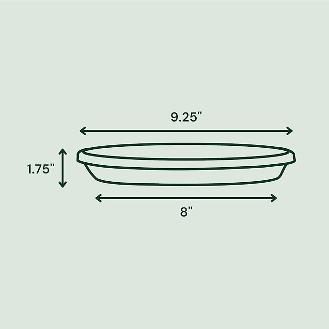 Bloem Terra Resin Saucer Tray: 8" Bottom Width - Image 3