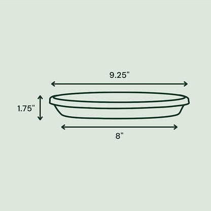 Bloem Terra Resin Saucer Tray: 8" Bottom Width - Image 3