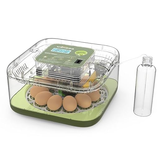 12 Egg Incubator for Hatching Eggs by Unknown