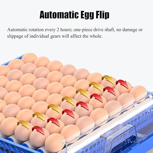 Eggs Incubator for Hatching Eggs, Automatic Egg Turning and Humidity Control - Image 3