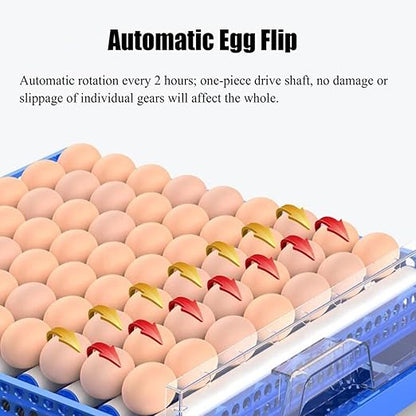 Eggs Incubator for Hatching Eggs, Automatic Egg Turning and Humidity Control - Image 3