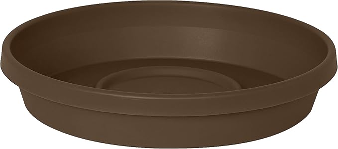 Bloem Terra Resin Saucer Tray: 6.5" Bottom Width by Bloem