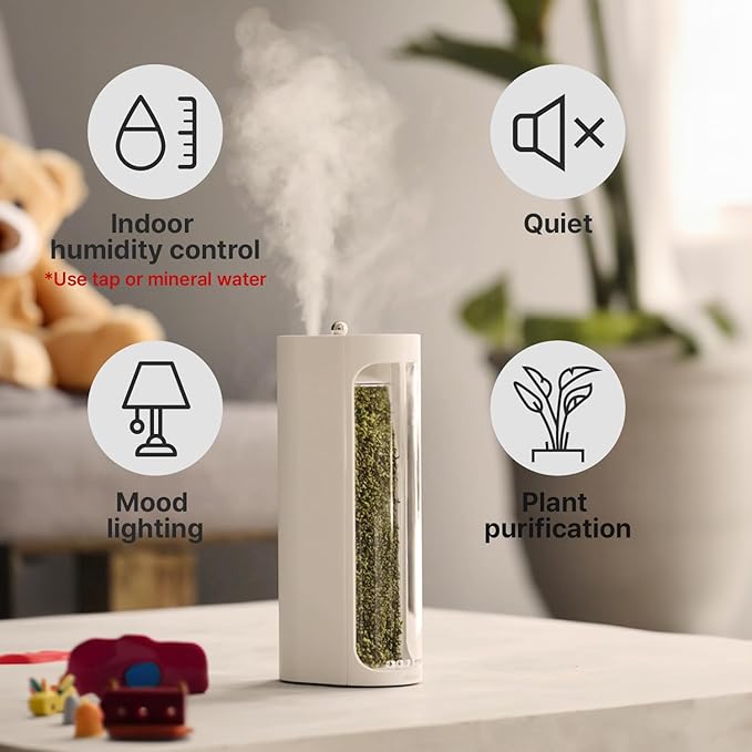 Moss Air – Living Moss Terrarium Humidifier | Soothing Mist Fountain & Ambient - Image 5