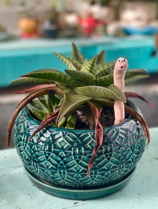 Cute Ceramic Soil Moisture Indicator by Unknown