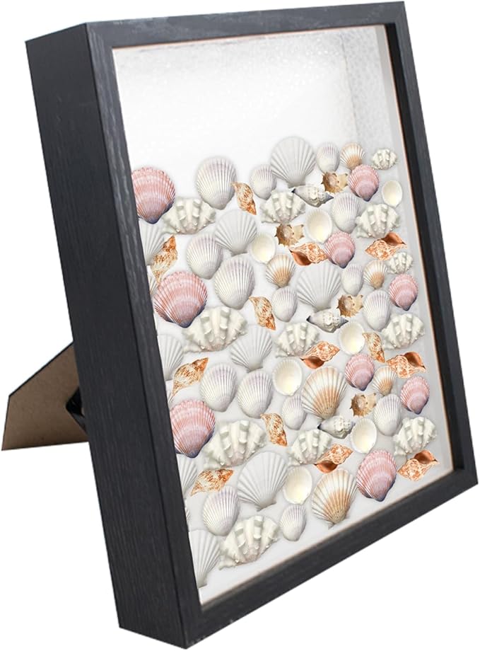 Shell Shadow Box Display Frame - Image 6