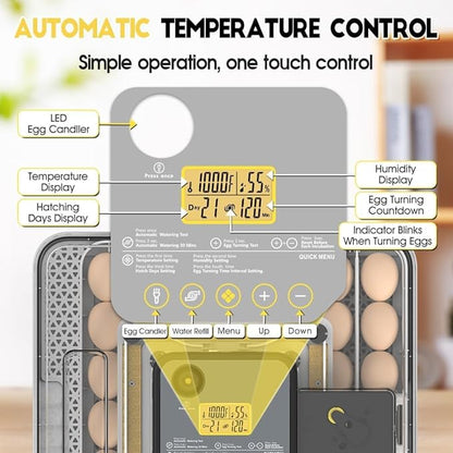 Automatic 48-Egg Incubator for Breeders, Sensor-Based Precise Humidity & Temp - Image 2