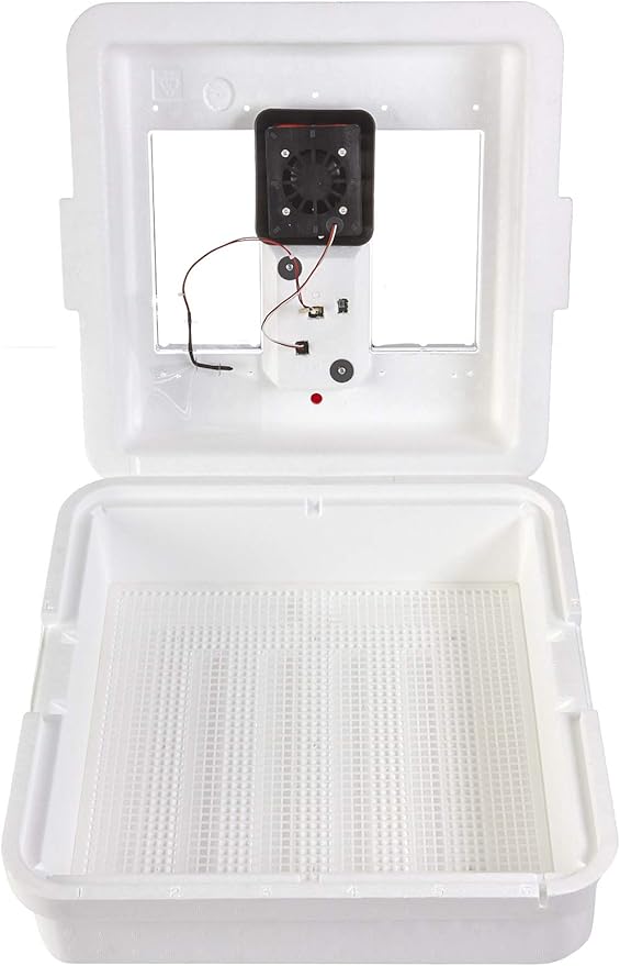 Little Giant® Digital Still Air Incubator | 41 Eggs | Egg Incubator by LittleGiant%C2%AE