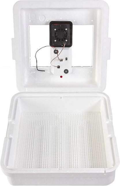 Little Giant® Digital Still Air Incubator | 41 Eggs | Egg Incubator by LittleGiant%C2%AE