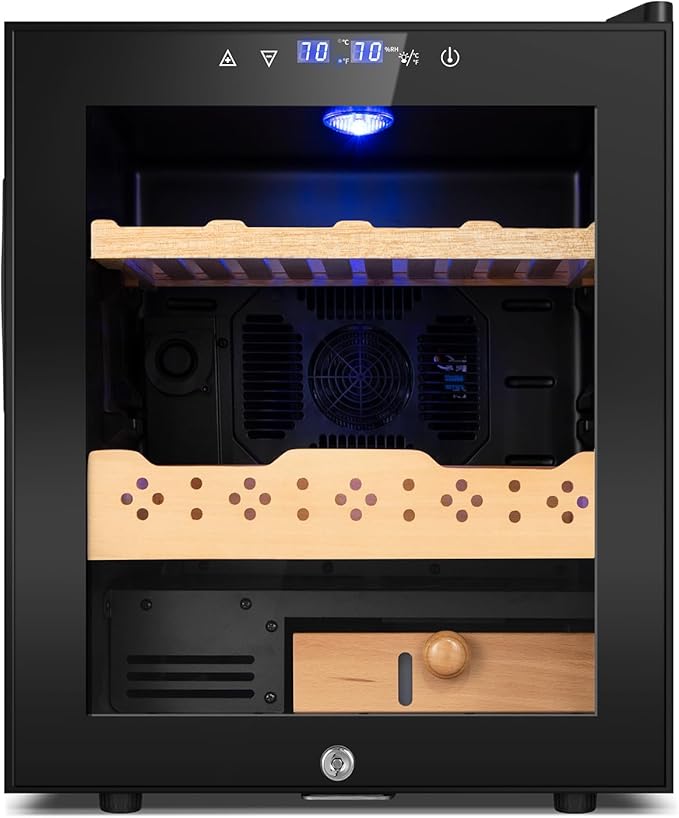 Electric Cooler Cabinet 50L by FoMup
