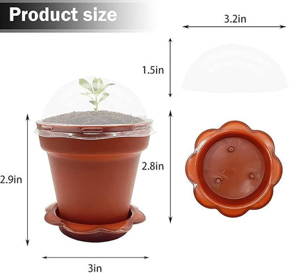 50 Packs Cupcake Plant Nursery Pots - Image 3