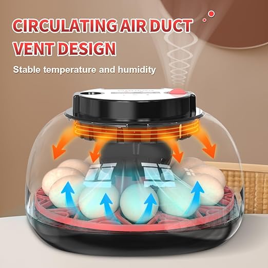incubators for hatching eggs，12 Egg Incubator, egg incubator - Image 5