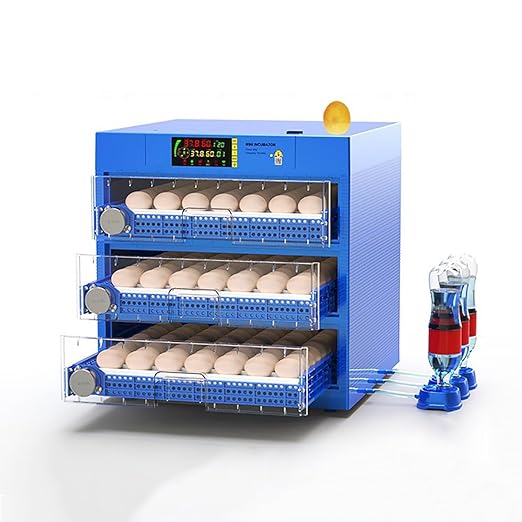 Automatic Eggs Incubator, Large Incubators by OXBZKMY