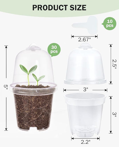 homenote Clear Nursery Pots for Plants, 3 Inch Plant Pot for Planting - Image 6