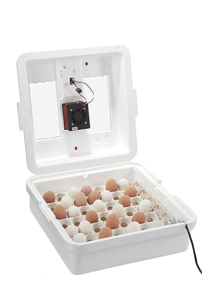 Little Giant® Digital Circulated Air Incubator - Image 6