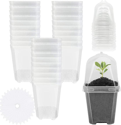 EBaokuup 30PCS Clear Plant Nursery Pots by EBaokuup