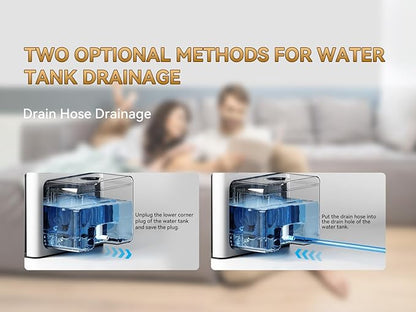 Home Dehumidifier with Drain Hose, 95oz Quiet dehumidifier - Image 9