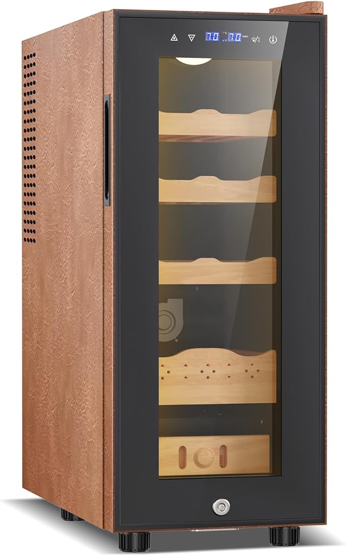 Electric Cooler Cabinet 35L by FoMup