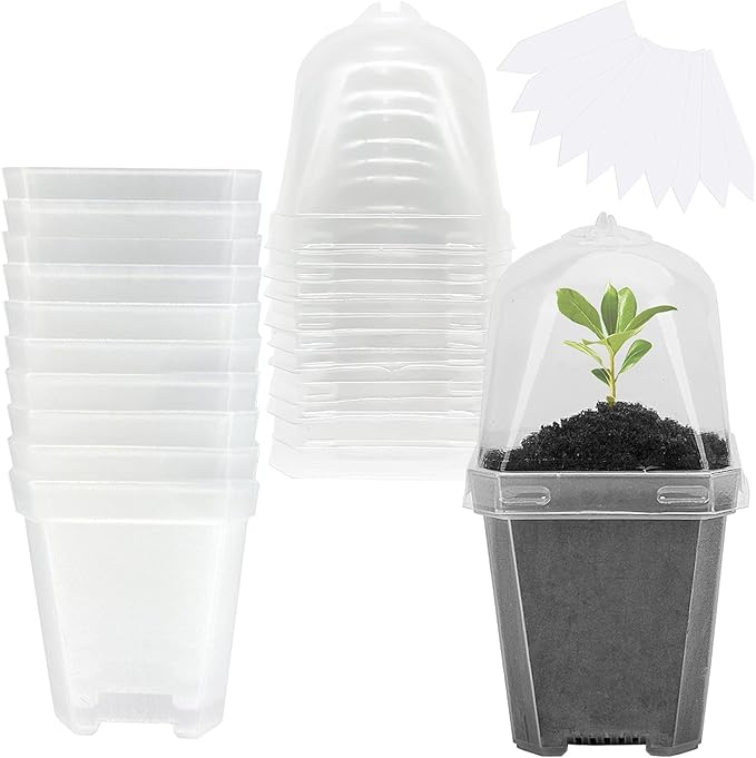 EBaokuup 10PCS Clear Plant Nursery Pots by EBaokuup