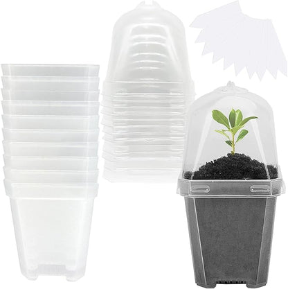 EBaokuup 10PCS Clear Plant Nursery Pots by EBaokuup