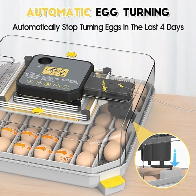Automatic 48-Egg Incubator for Breeders, Sensor-Based Precise Humidity & Temp - Image 5