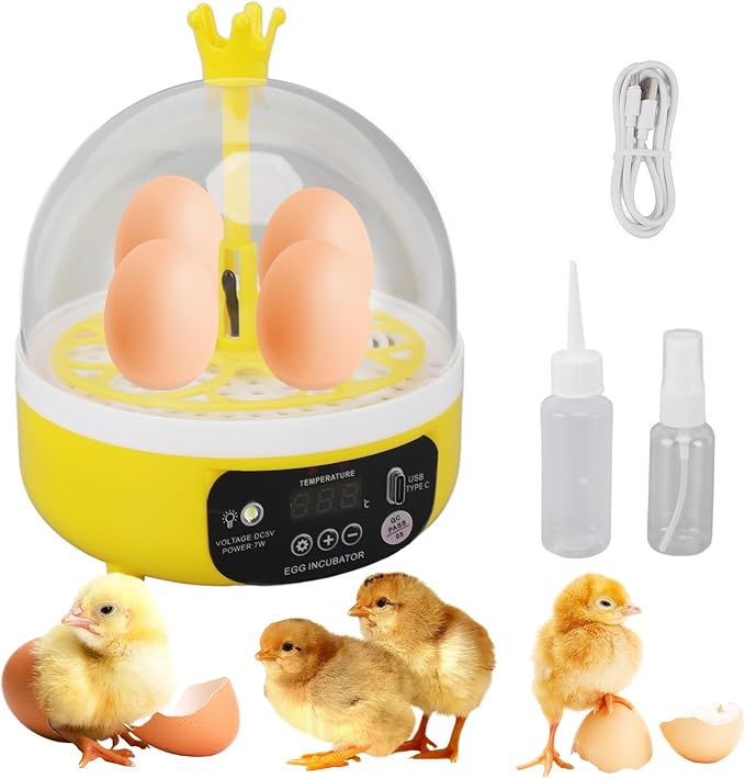 Tissting 4 Eggs Mini Incubator by Tissting