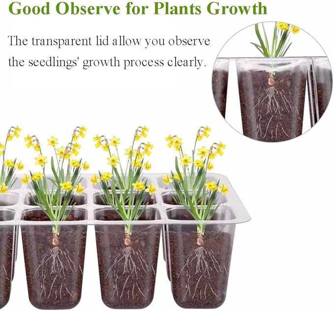 Seed Starter Tray Seedling Kits - Image 3