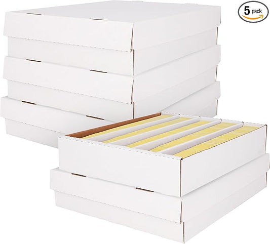 BCW Super Monster 5 Row Trading Card Storage Box by BCW