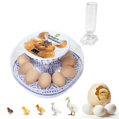 1st Gen - 12 Egg Automatic Incubator, Steady Humidity by Unknown