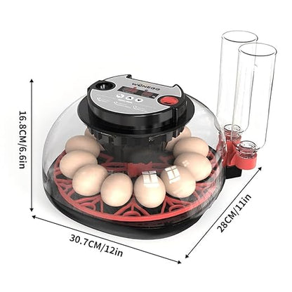 incubators for hatching eggs，12 Egg Incubator, egg incubator - Image 8
