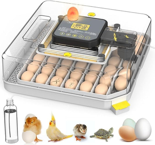 Automatic 48-Egg Incubator for Breeders, Sensor-Based Precise Humidity & Temp by ZEMIROCHARGE