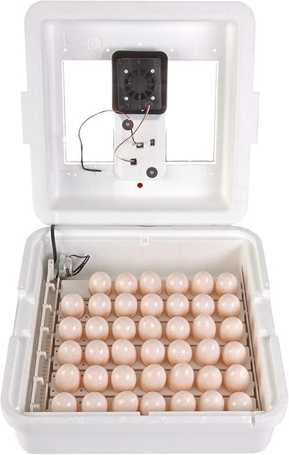 Little Giant® Digital Still Air Incubator | 41 Eggs | Egg Incubator - Image 5