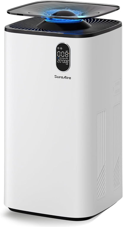 Evaporative Humidifier with Auto Humidity Control, 6L Water Tank with Top-Fill by WherePuritymeetsComfort
