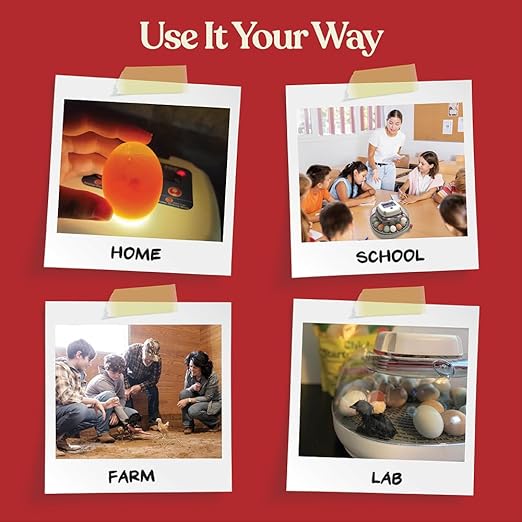 Harris Farms Nurture Right Egg Incubator - Image 3