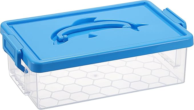 BTSKY 1-Pack Clear Plastic Storage Box by BTSKY