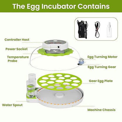 18-Egg Incubator incubators for Hatching Eggs - Image 8