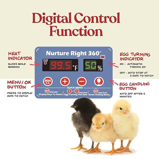 Harris Farms Nurture Right Egg Incubator - Image 4