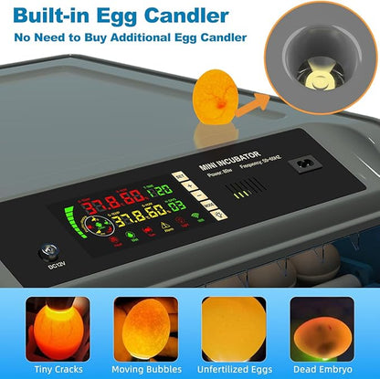 Egg Incubator for Hatching Eggs - Image 5
