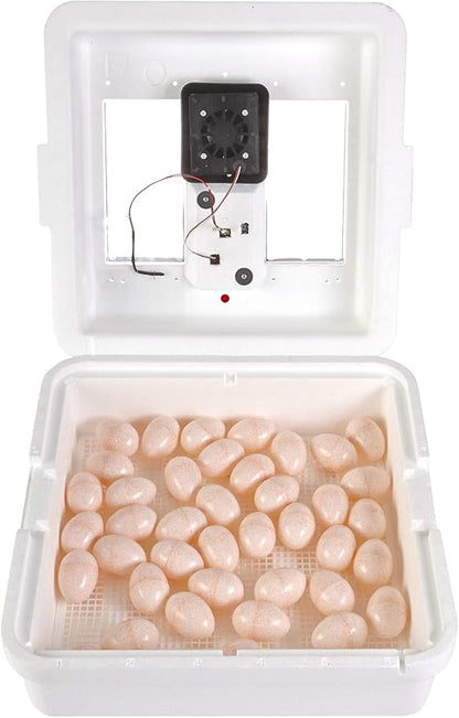 Little Giant® Digital Still Air Incubator | 41 Eggs | Egg Incubator - Image 3