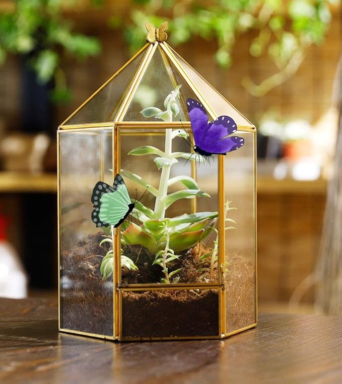 ELEGANTLIFE Glass Geometric Plant Terrarium, Succulent & Air Planter - Image 6