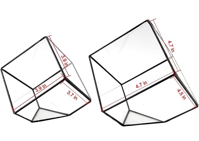 ELEGANTLIFE Glass Geometric Plant Terrarium Container, Flower Pot Tabletop - Image 4