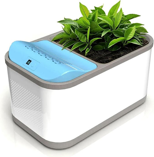 Eva-Dry Dewplanter Compact 2-in-1 Dehumidifier & Self-Watering Indoor Planter by EVADRY