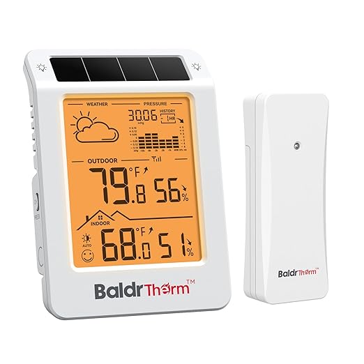 BaldrTherm Wireless Weather Station, Dual-Zone Indoor & Outdoor/Childroom Temp by BaldrTherm